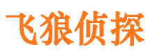 城关侦探公司